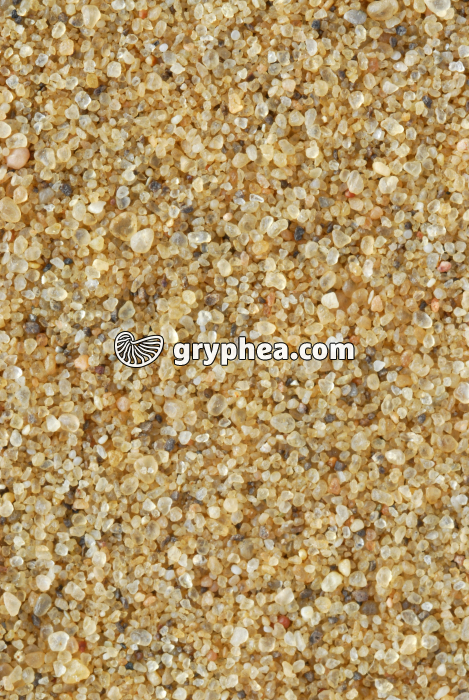 Sable - Dune d'Assouan (Egypte) x2  - gryphea.org